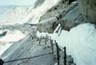 _cables_on_the_trail2_small.jpg