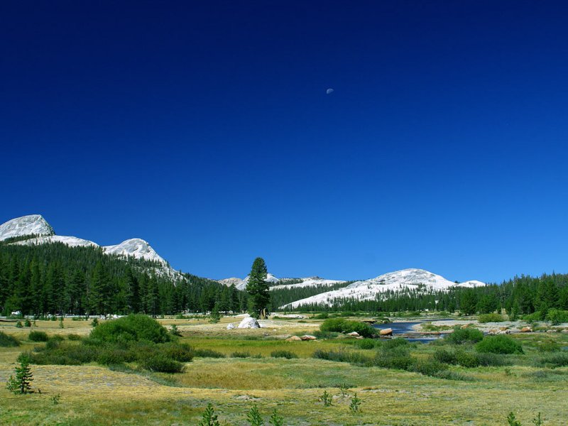 _tuolumne_meadows.jpg